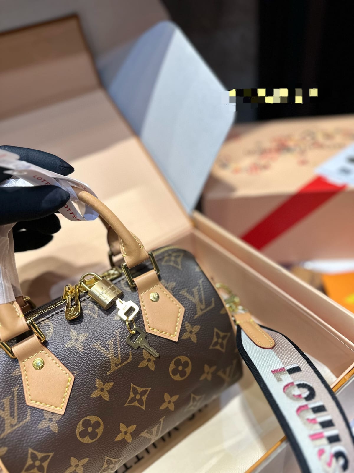 Louis vuitton Speedy 20 handbag