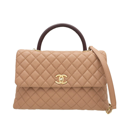 Chanel Bicolor Coco Handle Bag W- Lizard Handle