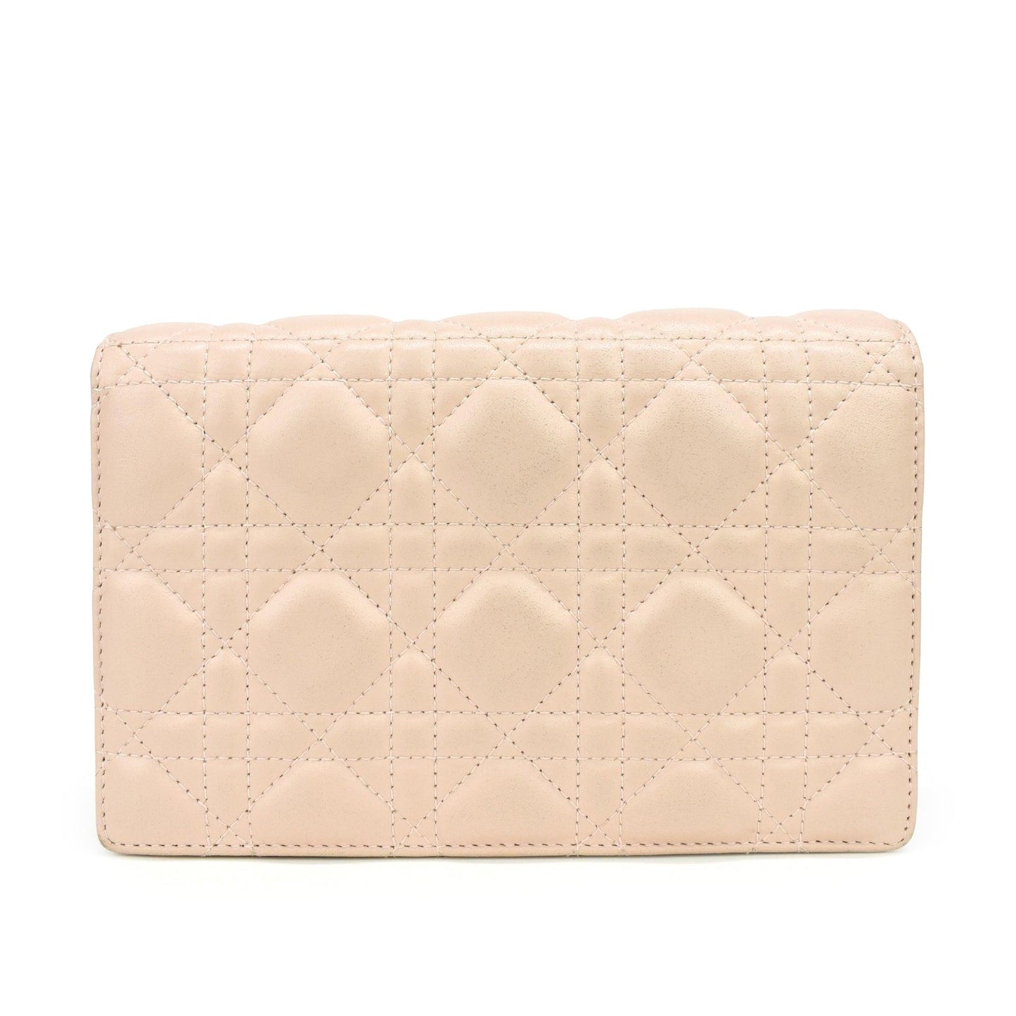 Christian Dior Wallet on Chain