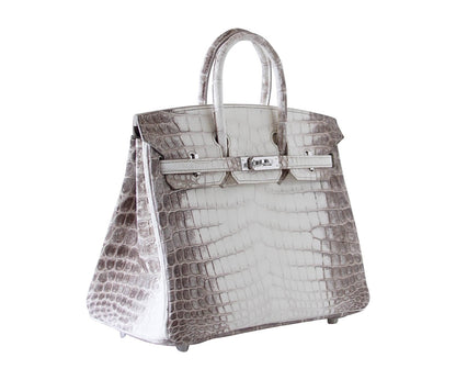 Hermes Birkin 25 Bag Blanc Himalaya Exquisite Jewel Palladium Hardware