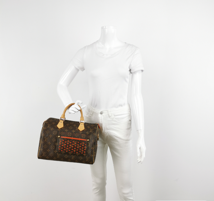 Louis Vuitton (LV) Speedy 30 bag 2008year brown 24122778999154