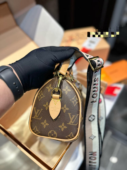 Louis vuitton Speedy 20 handbag