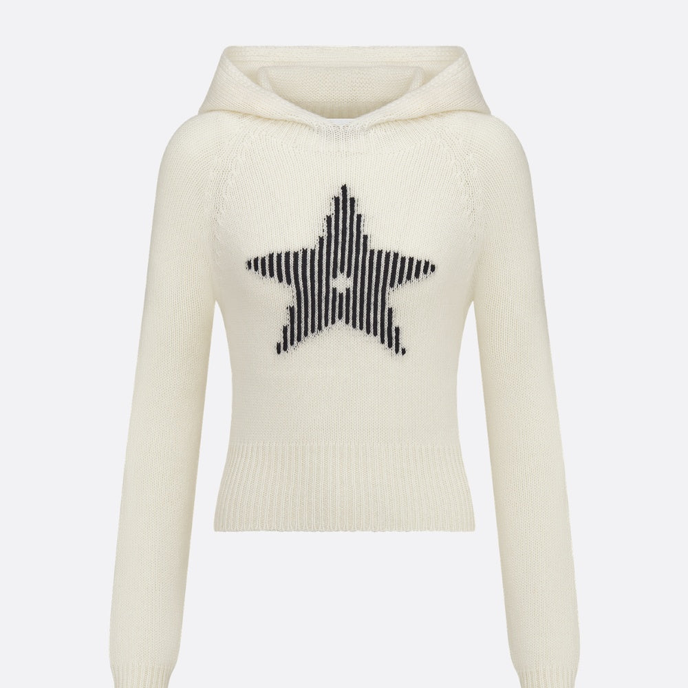 DiorAlps Hooded Sweater
