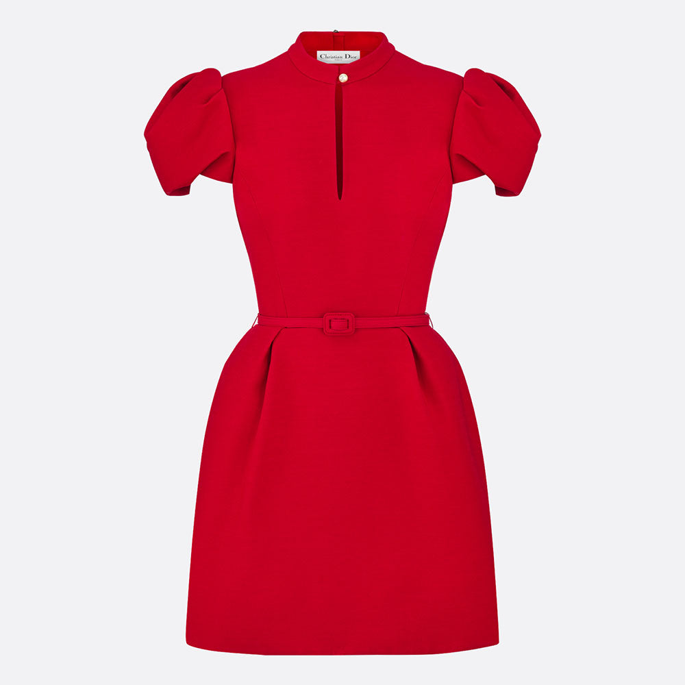 Short Belted Dress