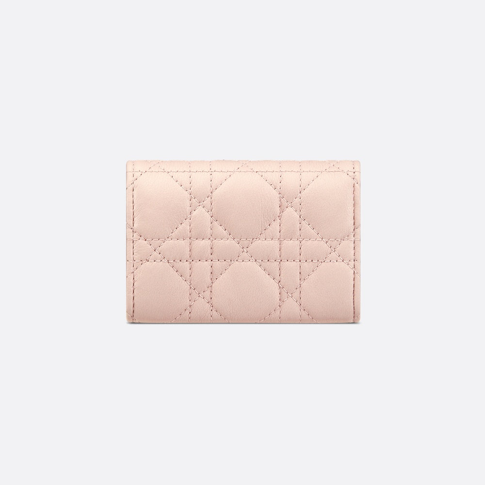 Dior Caro Glycine Wallet