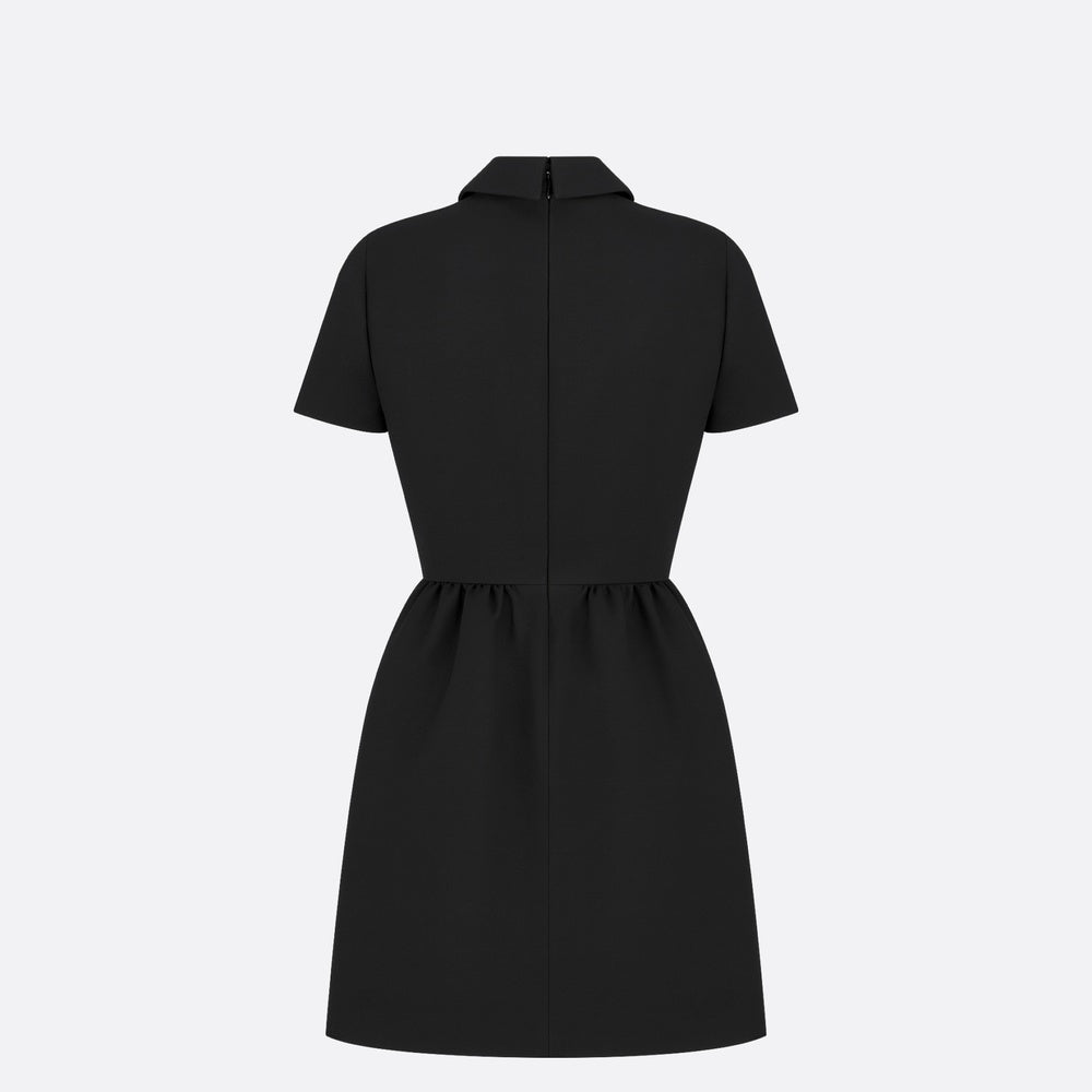 Fitted Dress with CD Buttons