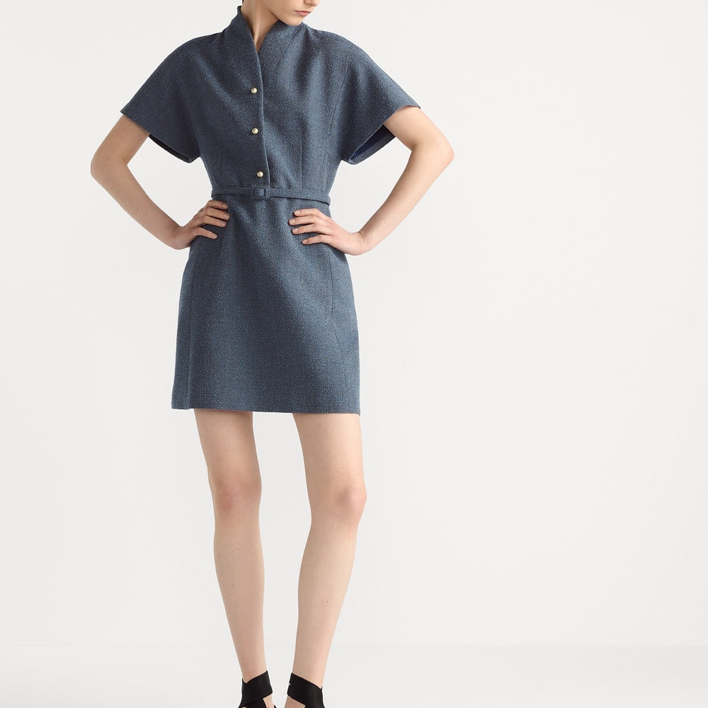 Short Flared Dress