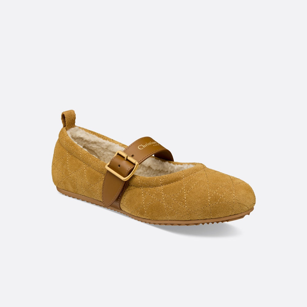 DiorAlps Dior Frost Ballet Flat