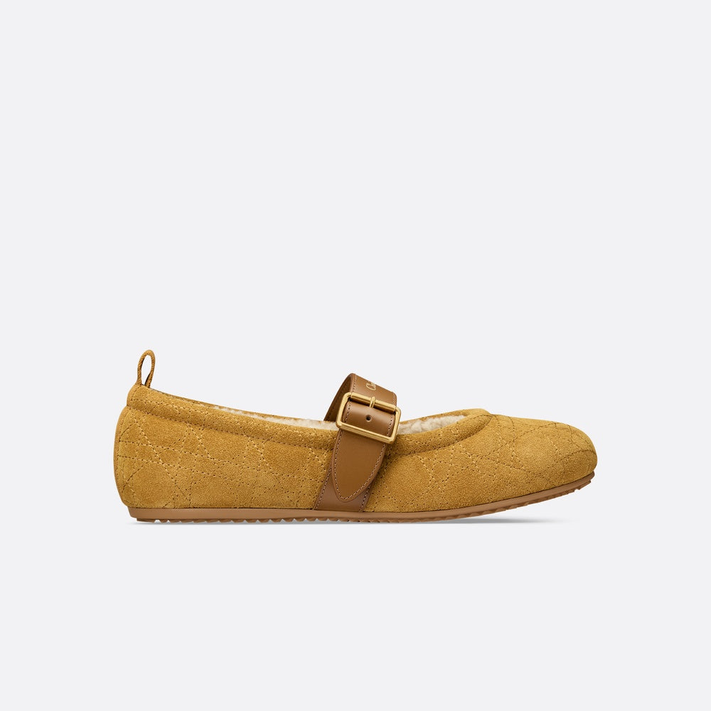 DiorAlps Dior Frost Ballet Flat