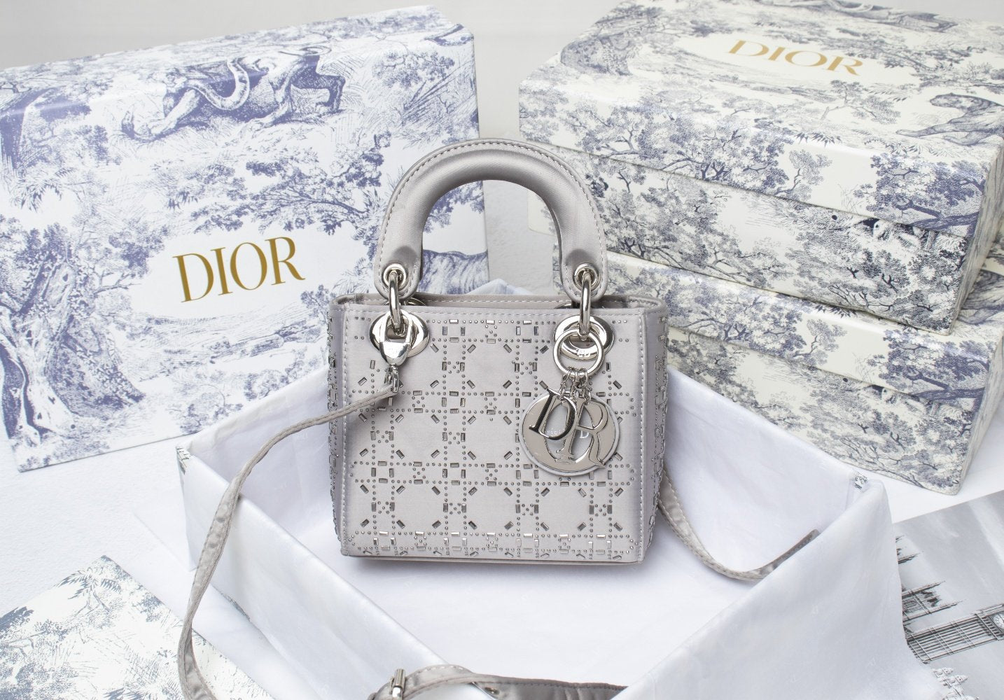 Luxury Edition Bags DIR 231