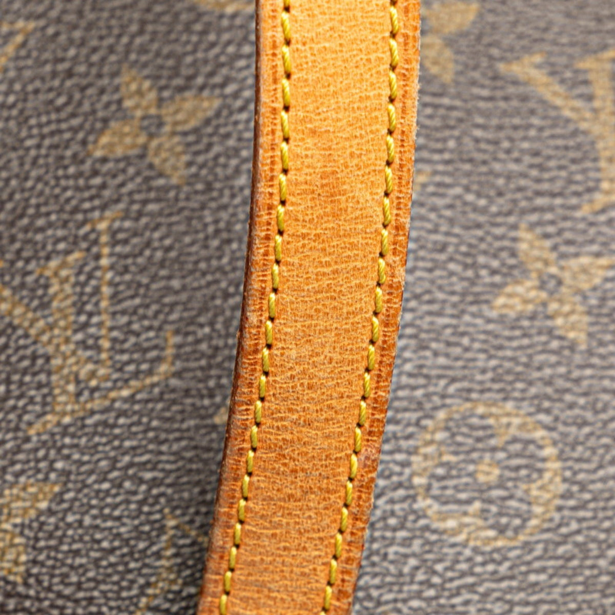 Louis Vuitton  Pvc Leather Shoulder Bag