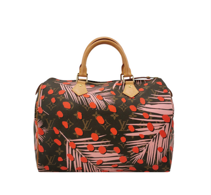 Louis Vuitton (LV) Speedy 30 bag 2016year 250312781102207