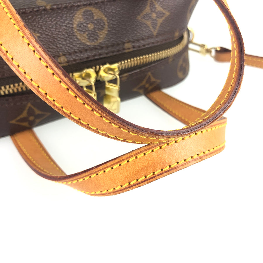 LOUIS VUITTON Shoulder 2WAY Handbag