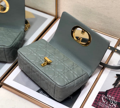 Gray Supple Cannage Calfskin Small Caro Bag Leather Shoulder Bag for Women