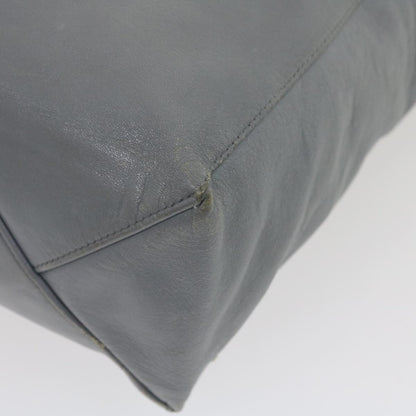 Celine Tote Bag Leather Gray  am2387g