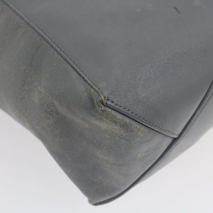 Celine Tote Bag Leather Gray  am2387g
