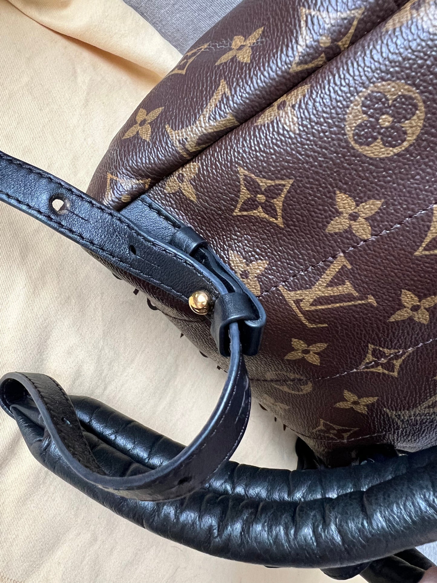 Louis Vuitton Palm Springs PM Backpack (RRP £1,830)