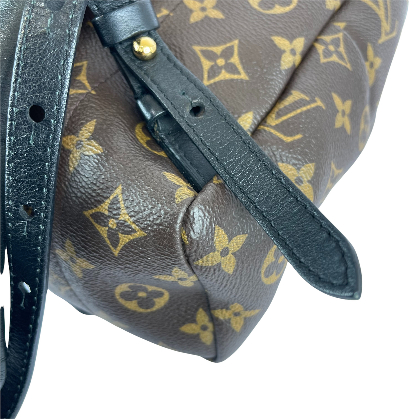Louis-Vuitton Palm Springs PM Monogram Brown GHW