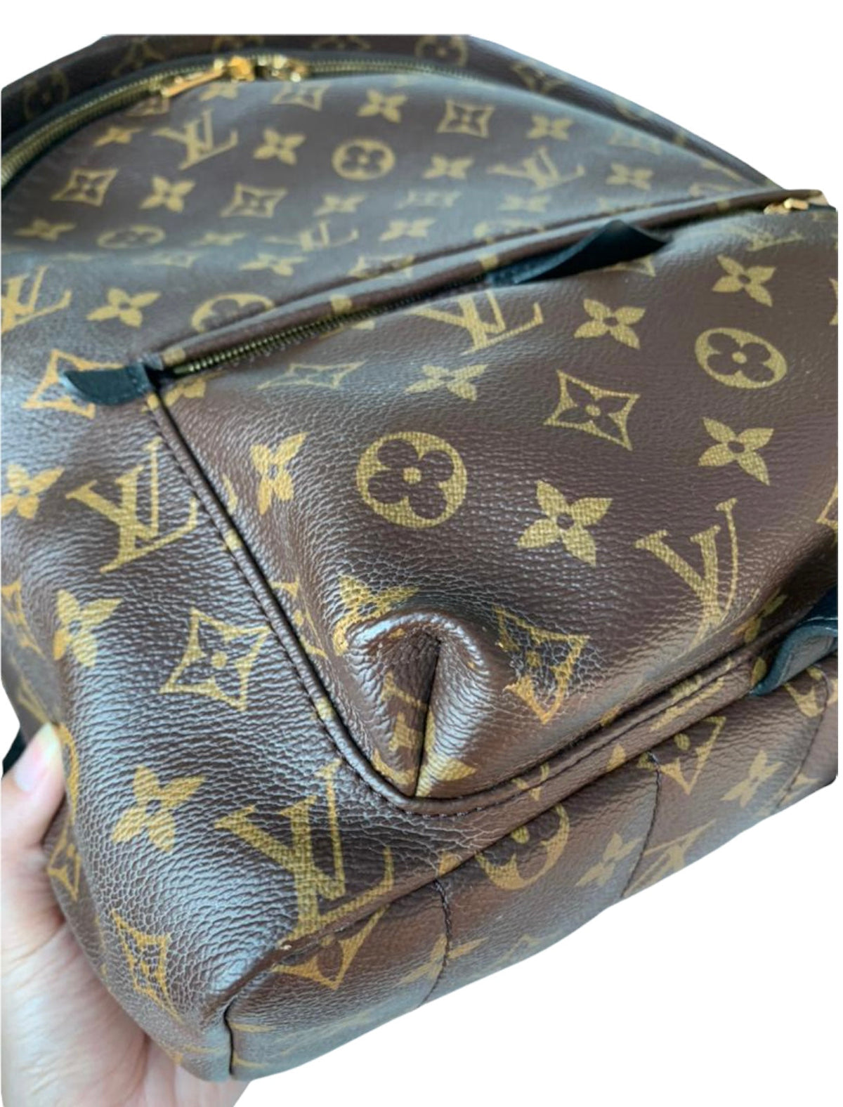 Louis-Vuitton Monogram Palm Springs MM Brown