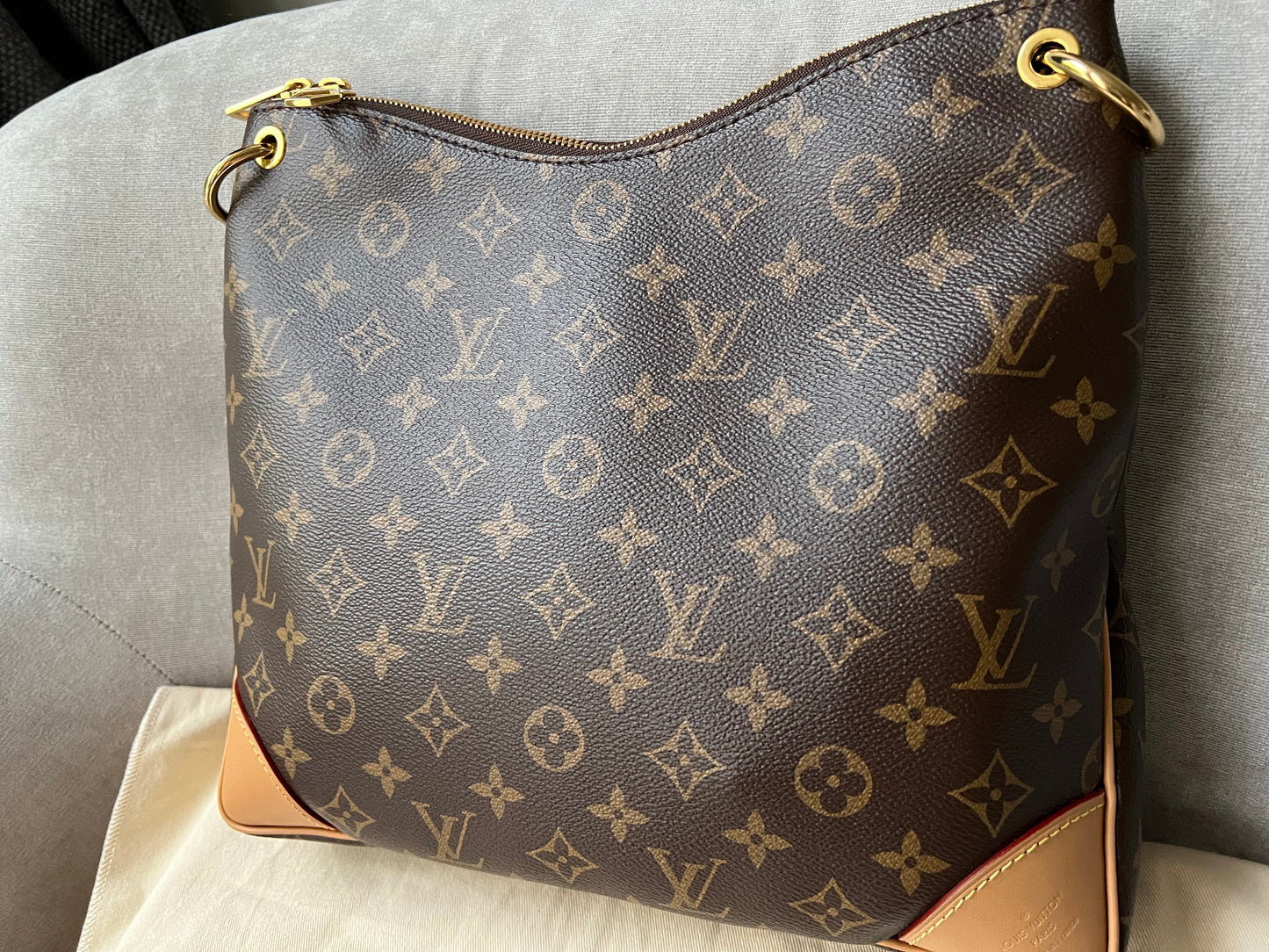 Louis Vuitton Odeon Monogram (RRP £1650)