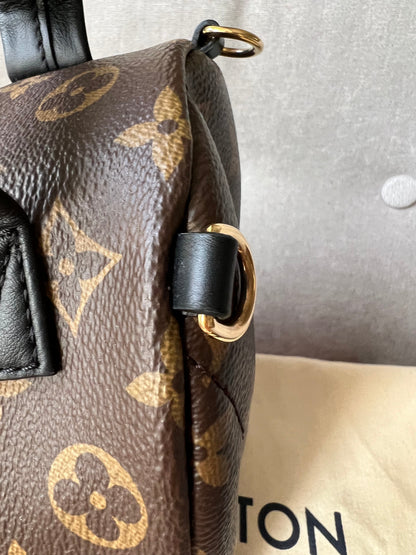 Louis Vuitton Palm Springs Mini Backpack (RRP £1,740)