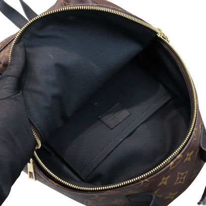 Louis-Vuitton Monogram Palm Springs PM Backpack