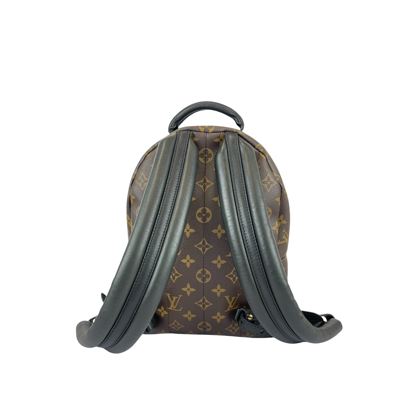 Louis-Vuitton Palm Springs PM Monogram Brown GHW