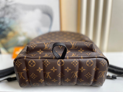 Louis Vuitton Palm Spring MM Bag