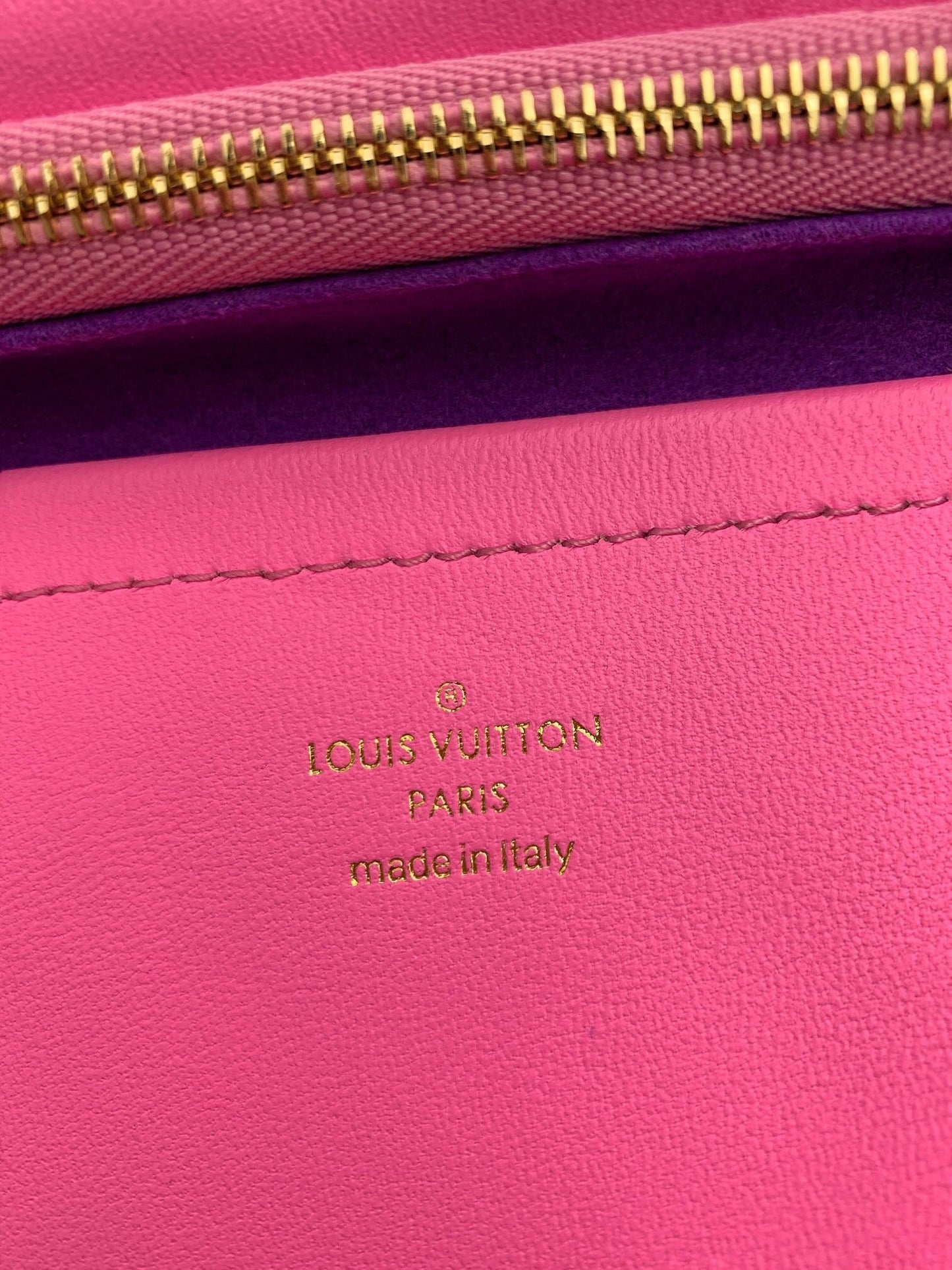 Louis Vuitton Pochette Coussin Bag