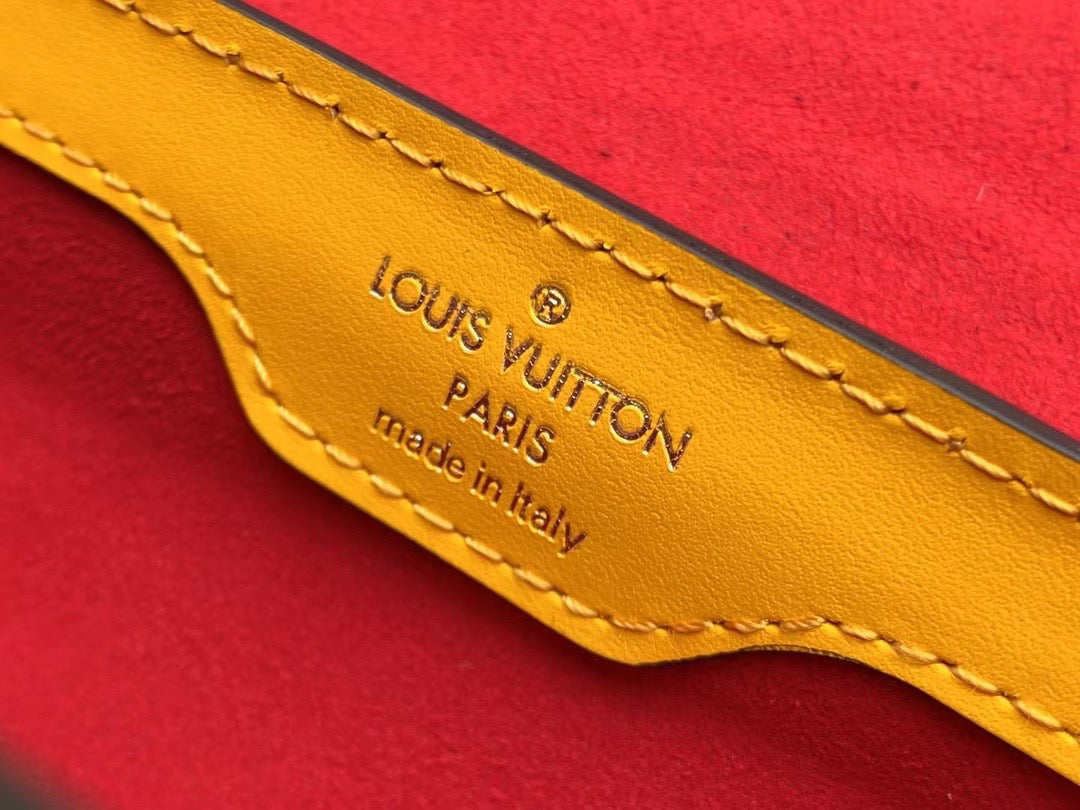 Louis Vuitton Papillon Trunk Bag