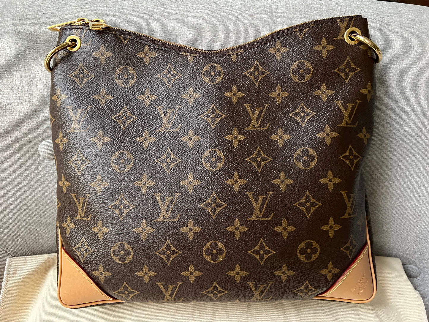 Louis Vuitton Odeon Monogram (RRP £1650)