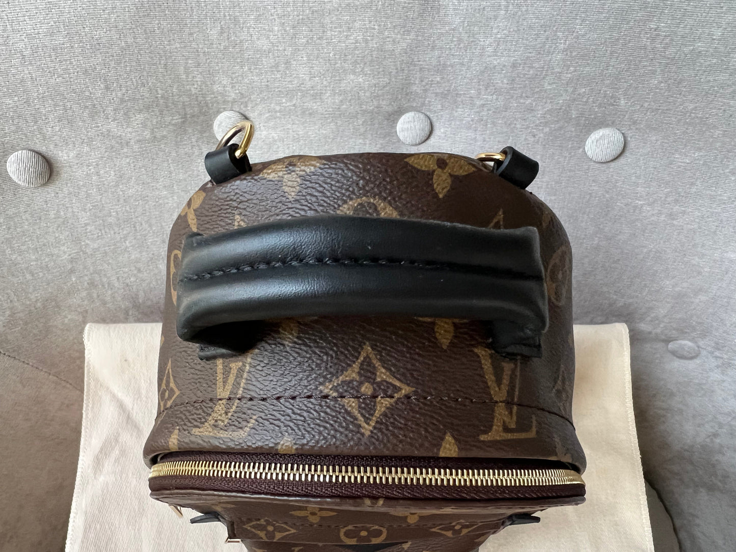 Louis Vuitton Palm Springs Mini Backpack (RRP £1,740)