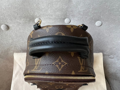 Louis Vuitton Palm Springs Mini Backpack (RRP £1,740)