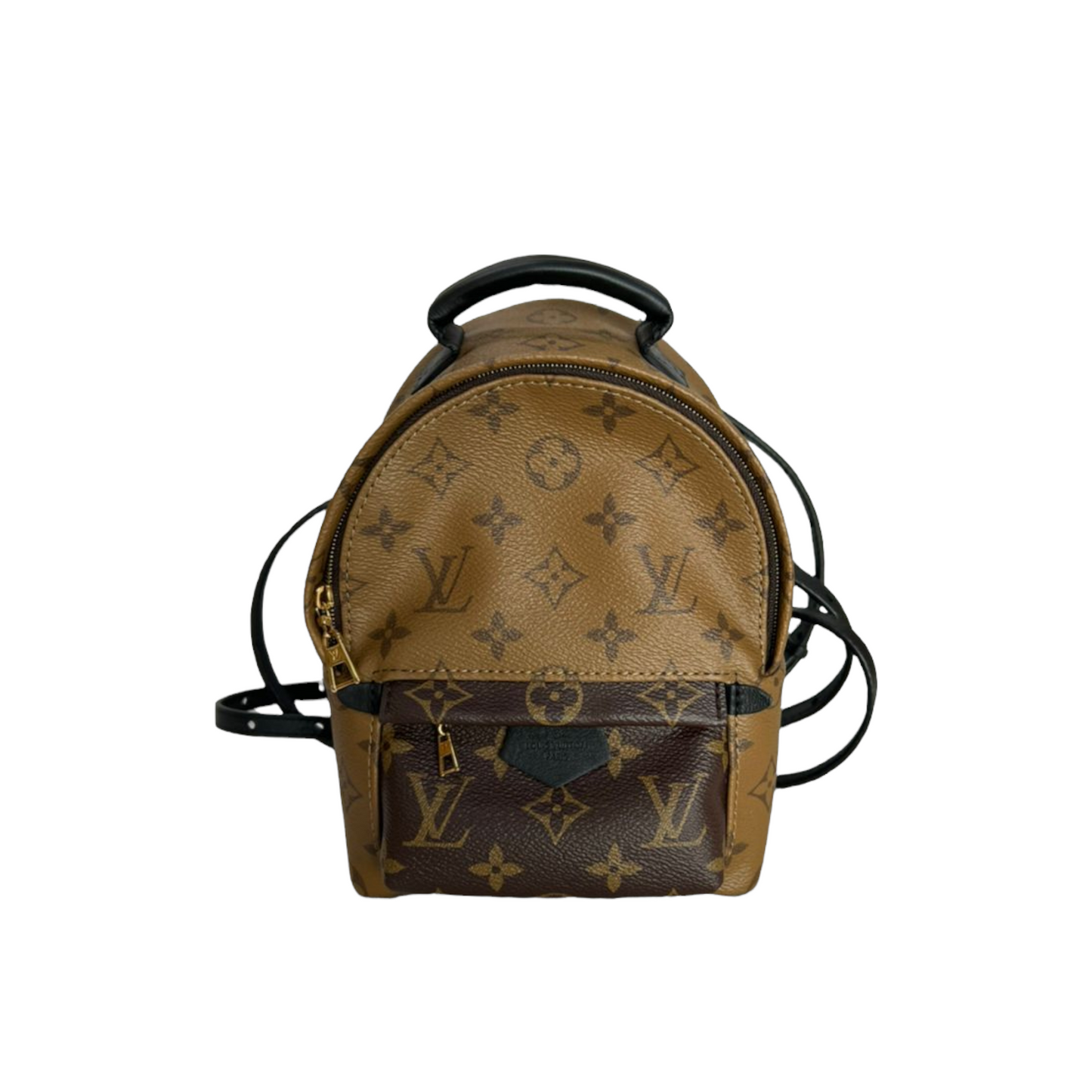 Louis-Vuitton Monogram Reverse Palm Springs Mini GHW