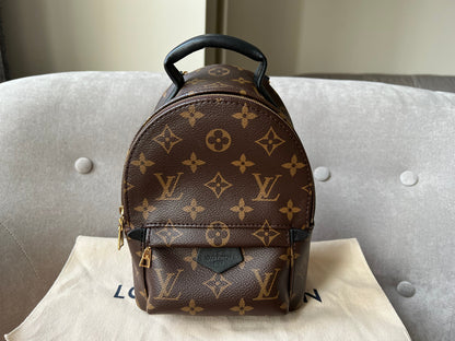 Louis Vuitton Palm Springs Mini Backpack (RRP £1,740)