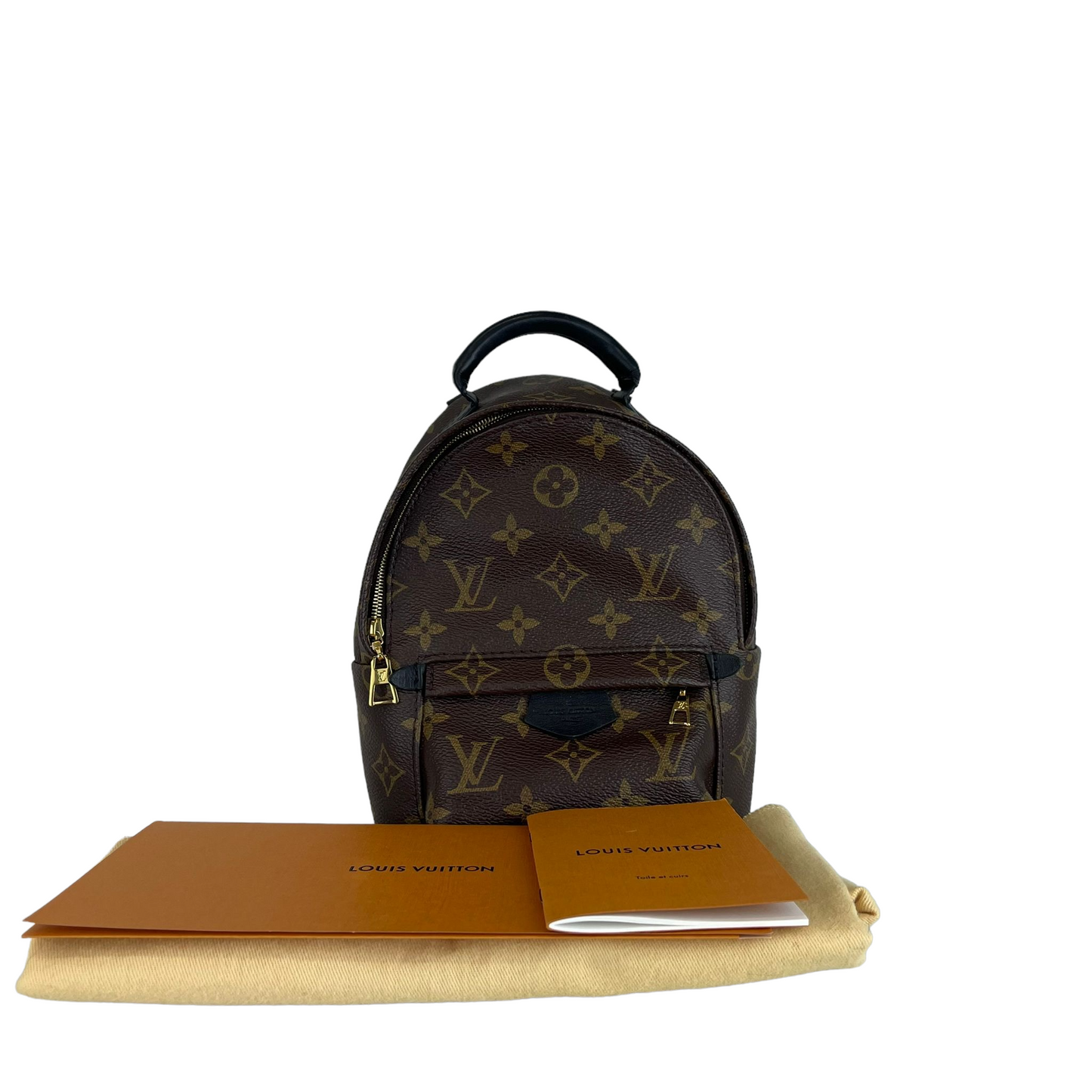 Louis-Vuitton Mini Palm Springs Monogram GHW