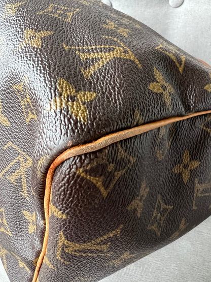 Louis Vuitton Speedy 30 Monogram