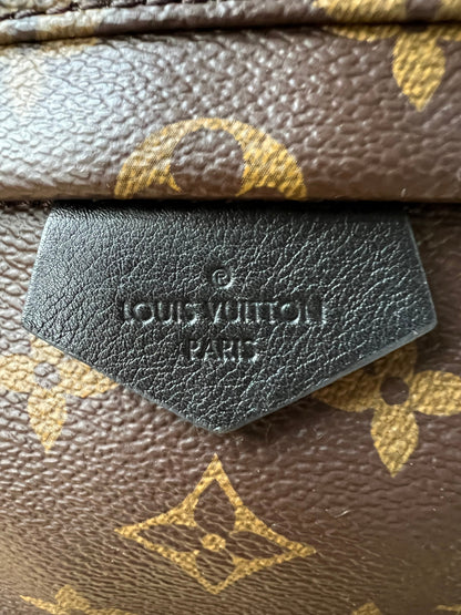 Louis Vuitton Palm Springs PM Backpack (RRP £1,830)