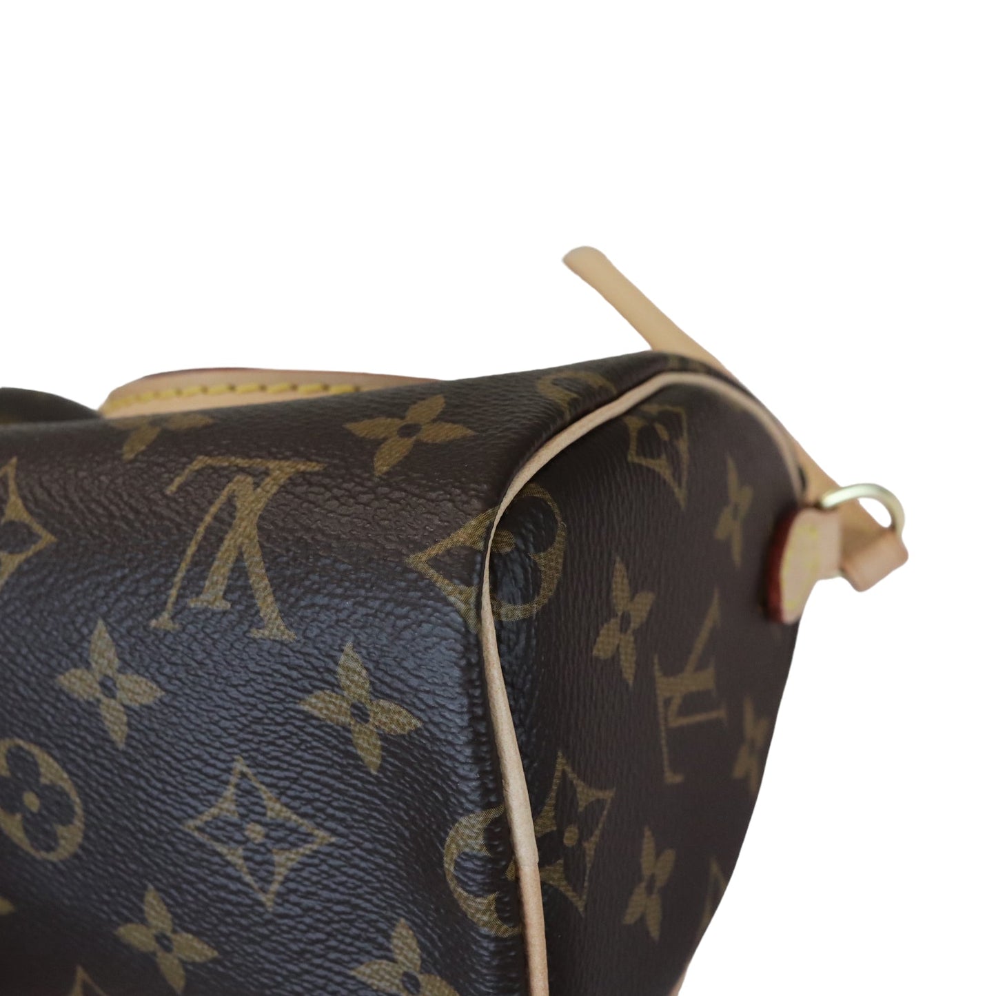 Louis-Vuitton Nano Speedy Monogram Brown GHW