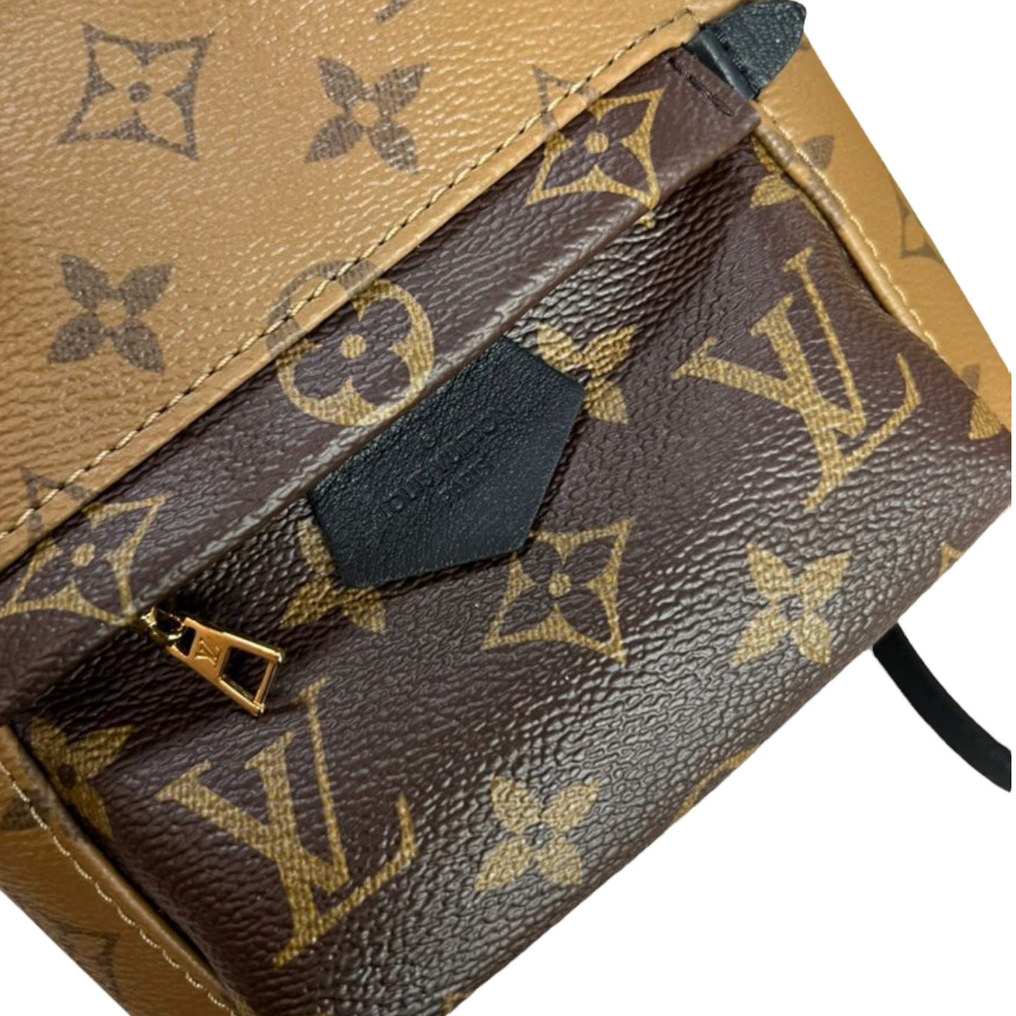 Louis-Vuitton Monogram Reverse Palm Springs Mini GHW