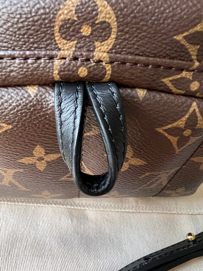 Louis Vuitton Palm Springs Mini Backpack (RRP £1,740)