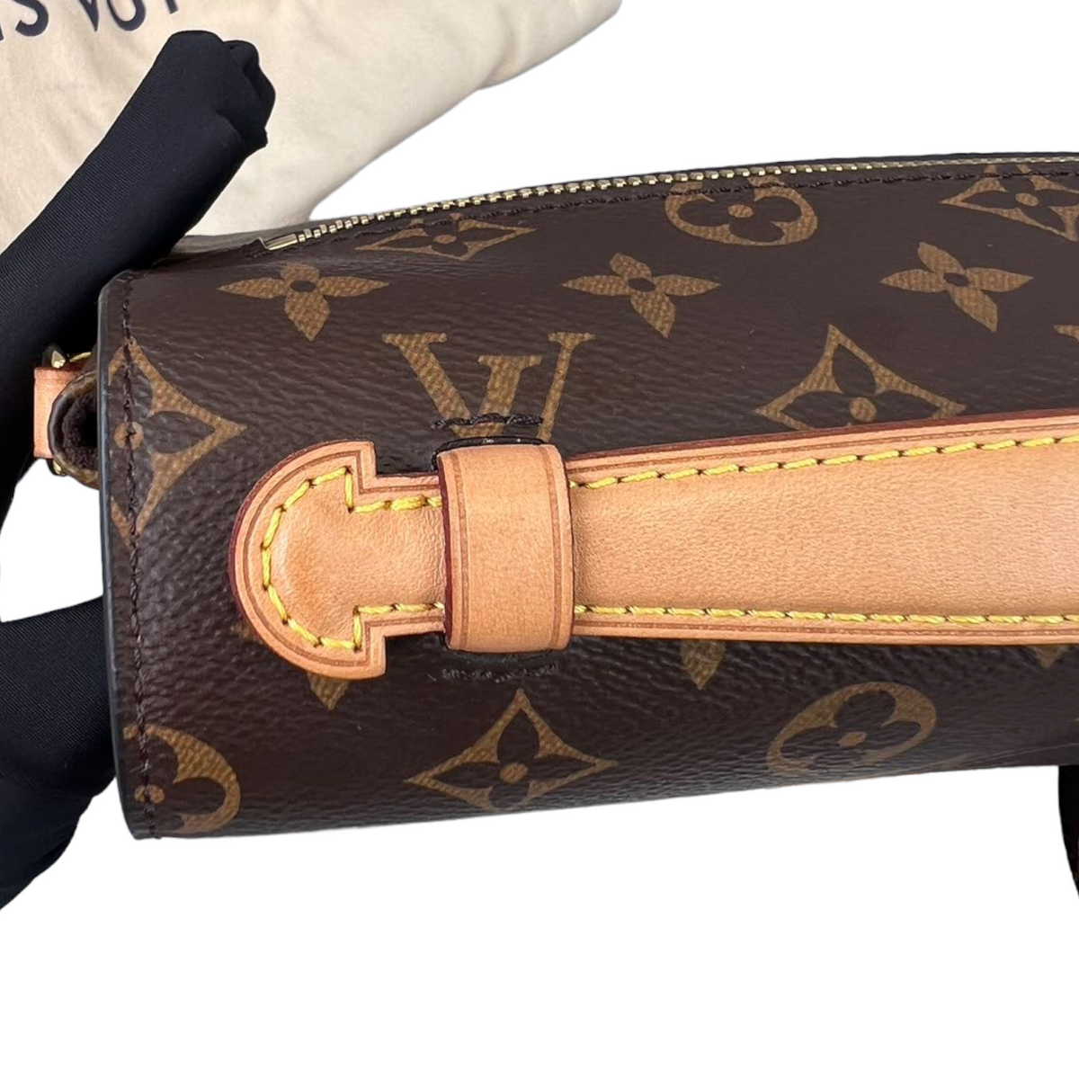 Louis-Vuitton Monogram Pochette Métis Brown GHW
