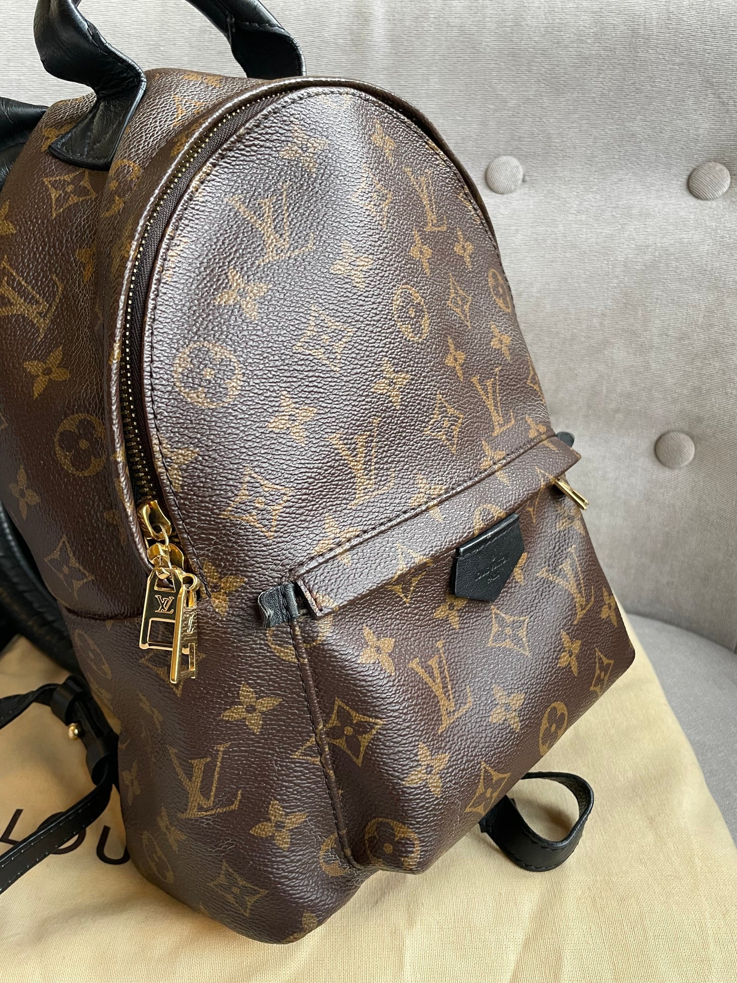 Louis Vuitton Palm Springs PM Backpack (RRP £1,830)