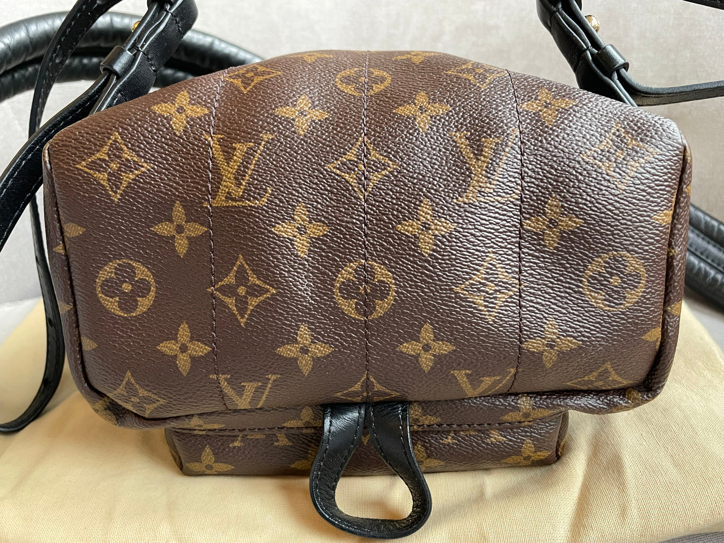 Louis Vuitton Palm Springs PM Backpack (RRP £1,830)