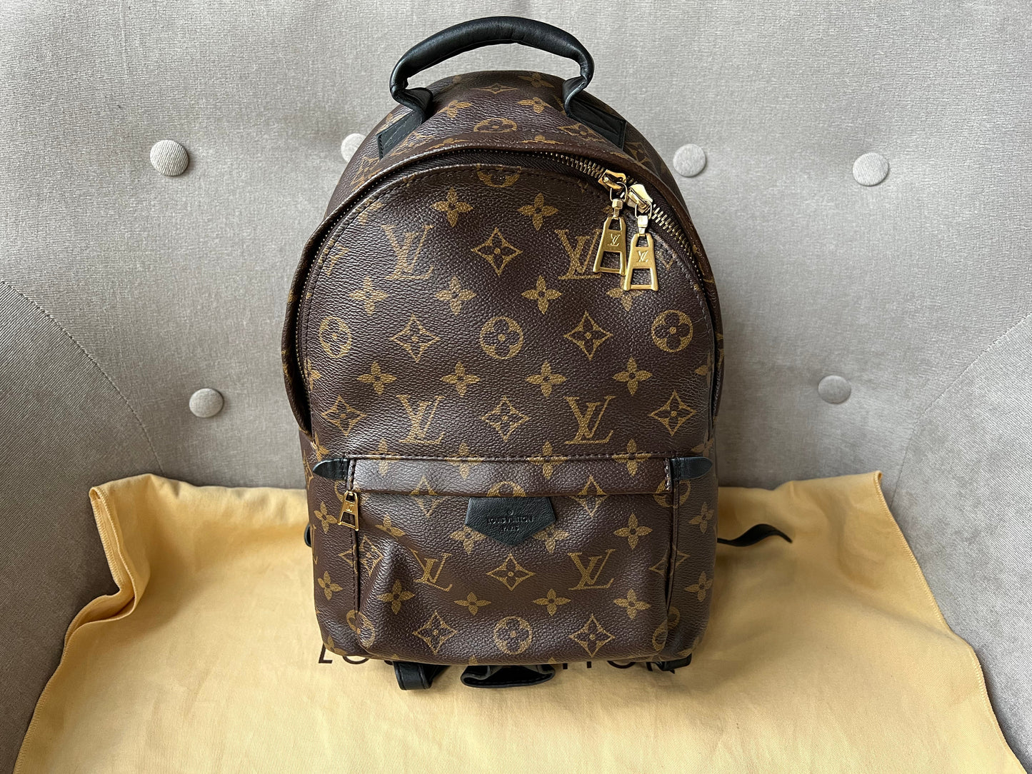 Louis Vuitton Palm Springs PM Backpack (RRP £1,830)