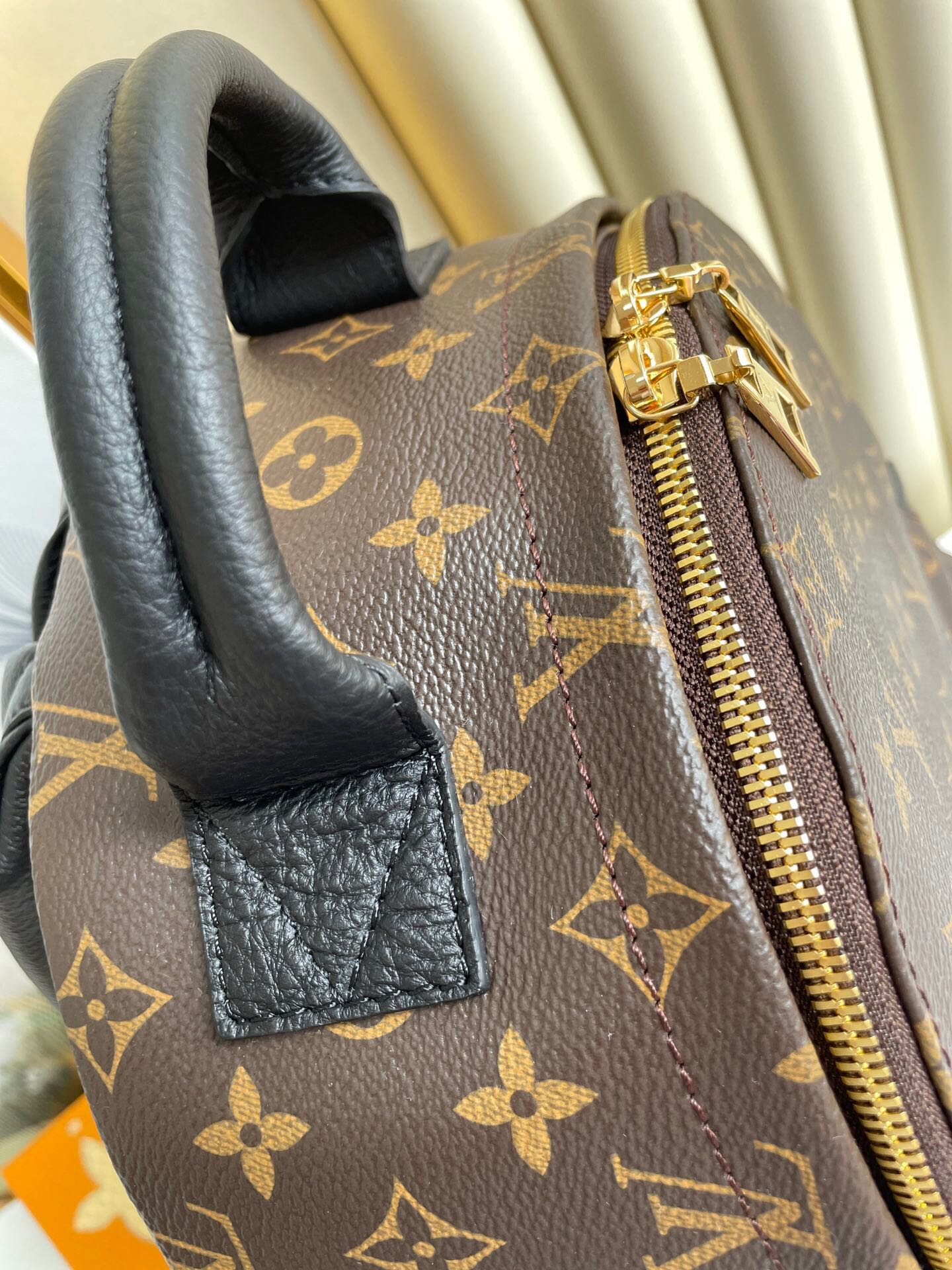 Louis Vuitton Palm Spring MM Bag