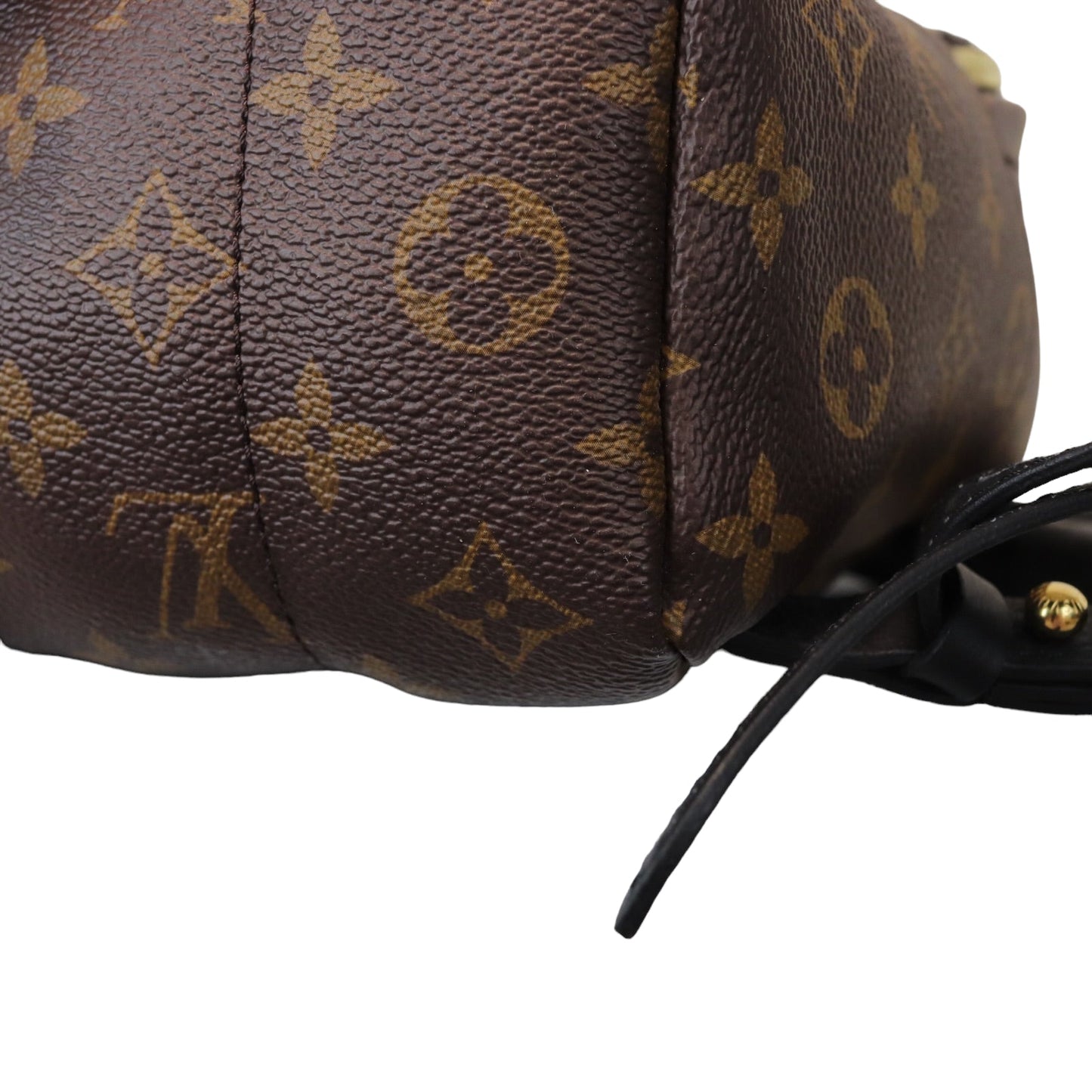 Louis-Vuitton Monogram Palm Springs PM Backpack