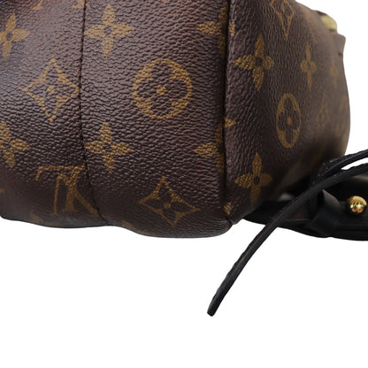 Louis-Vuitton Monogram Palm Springs PM Backpack