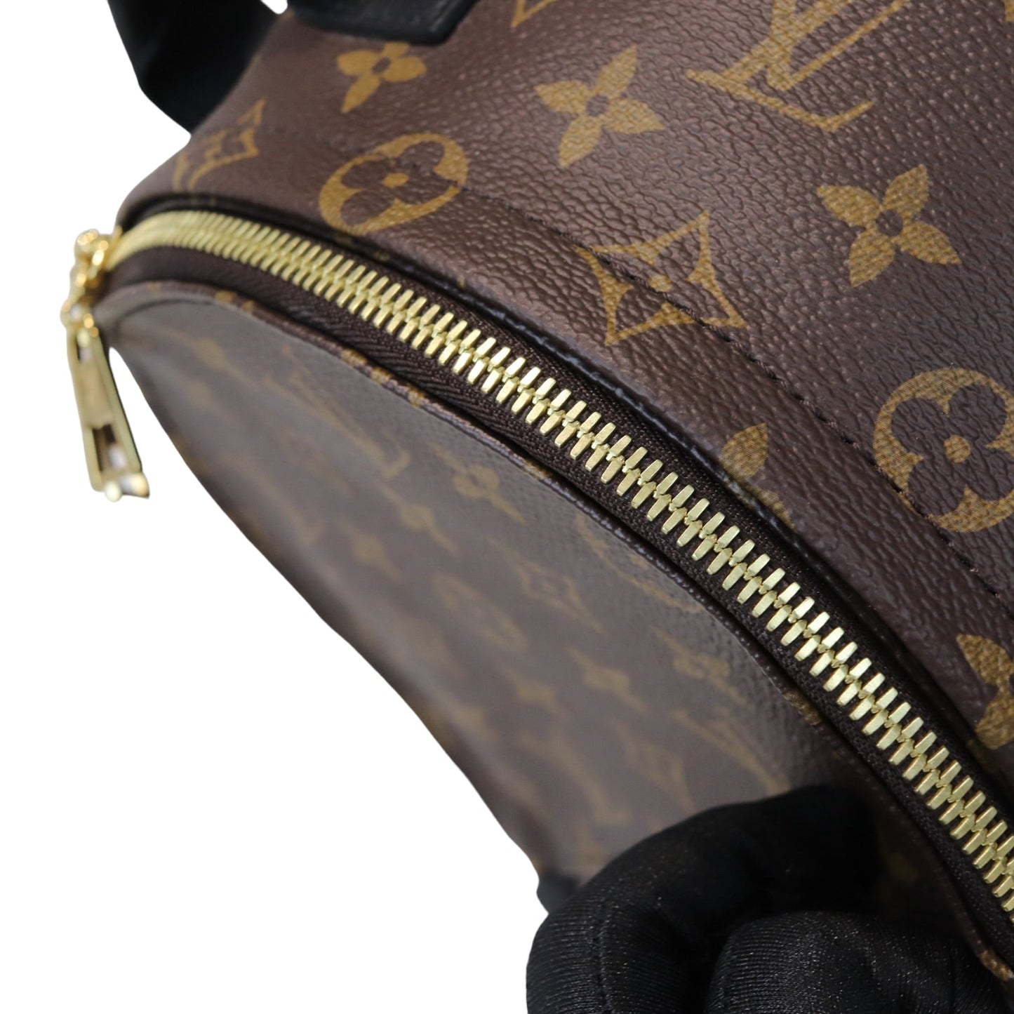 Louis-Vuitton Monogram Palm Springs PM Backpack
