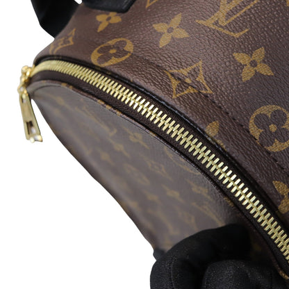 Louis-Vuitton Monogram Palm Springs PM Backpack